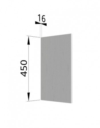 Панель торцевая (для шкафа горизонтального высокого) ВПГ Ройс (Графит софт) в Агролесе - agroles.mebel54.com | фото